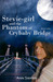 Stevie-girl and the Phantom of Crybaby Bridge (Phantom #3) by Ann Swann