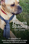 Fifteen Shades for Grey cover