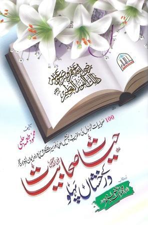 HAYAT E SAHABA K DARAKHSHAN PEHLU EBOOK DOWNLOAD HAYAT E SAHABA K DARAKHSHAN PEHLU EBOOK DOWNLOAD