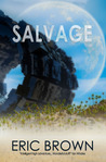Salvage cover