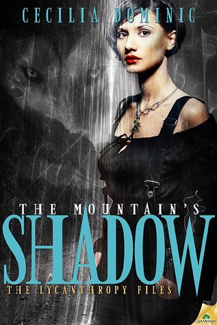the-mountain-s-shadow