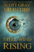 Steel Wind Rising by Scott Meintjes