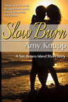 Slow Burn cover