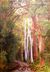 Footsteps by Millicent Jones