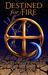 Destined for Fire (Alyx Rayer Chronicles, #3) by S.J. Pierce
