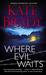 Where Evil Waits (Mann Family, #2) by Kate Brady