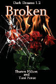 broken-dark-dreams-1-2