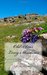 Old Sins Long Shadows by B.D. Hawkey
