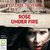 Rose Under Fire (Code Name Verity, #2) by Elizabeth E. Wein