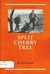 Split Cherry Tree