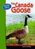 The Canada Goose by James V. Bradley