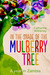 In the Shade of the Mulberry Tree A year in Zambia by Catharine Withenay
