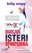 Bukan Isteri Sempurna
