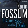 I Can See in the Dark cover