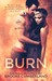 Burn (Spark, #2) by Brooke Cumberland