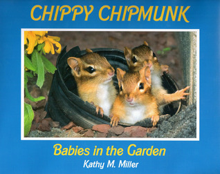 chippy-chipmunk-babies-in-the-garden