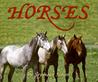 Horses cover