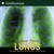 Lungs Your Respiratory System by Seymour Simon