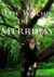 The Witches of Merribay (The Seaforth Chronicles #1) by B.J. Smash