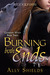 Burning Both Ends (Guardian Witch, #3) by Ally Shields