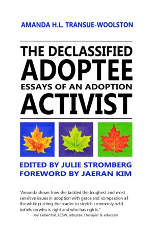 An Essay On English Language Examples Of Thesis Statements For Narrative Essays also Narrative Essay Example For High School The Declassified Adoptee Essays Of An Adoption Activist By Amanda Compare And Contrast Essay Papers