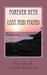 Forever Beth Lost and Found by Elizabeth Cook-Howard