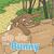 Jo Jo the Bunny by Jacqueline D. Drye