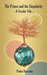 The Prince and the Singularity - A Circular Tale by Pedro Barrento