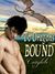 To Dragons Bound (To Dragons Bound, #1-5) by Clara Bright