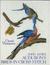 John James Audubon's Birds in Cross Stitch