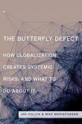 the-butterfly-defect-how-globalization-creates-systemic-risks-and-what-to-do-about-it