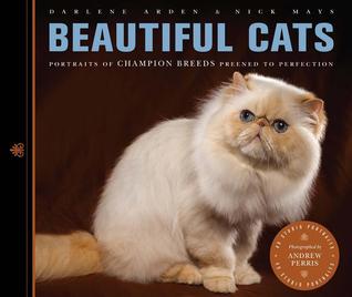 beautiful-cats