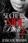 Secrets of a Side Bitch 2 cover