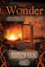 Wonder (Part 1 - Thanksgiving) A Soul Savers Collection of Short Stories by Kristie Cook