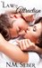 The Law of Attraction (Lawyers in Love, #1) by N.M. Silber