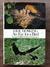 An Eye For A Bird The Autobiography Of A Bird Photographer by Eric Hosking