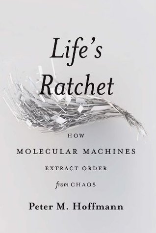How Molecular Machines Extract Order from Chaos - Peter M. Hoffman