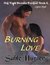 Burning Love by Sable Hunter
