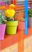 The How to Book on Creating a Beautiful Container Garden Grow Robust Flowers and Produce All Will Envy (The Jonah Green Series(What to Plant in Pots & How to Plant in Pots 1) by Jonah Green