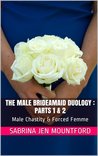 The Male Bridesmaid Duology: Parts 1 & 2