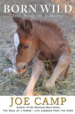 Born Wild The Soul Of A Horse By Joe Camp
