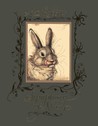 Mr. Rabbit’s Symphony of Nature