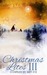 Christmas Lites III by Amy Eye