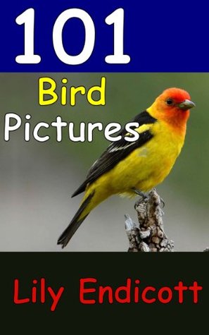 101 Bird Pictures Descargar libros gratis