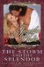 The Storm and the Splendor (Love and Adventure Collection) by Jennifer Blake