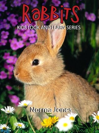 rabbits-learn-about-rabbits-and-enjoy-colorful-pictures-learning-fun-50-photos-of-rabbits