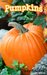 Pumpkins by Cindy Bracken