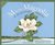 M Is For Magnolia A Mississippi Alphabet Book (Discover America State by State) by Michael Shoulders