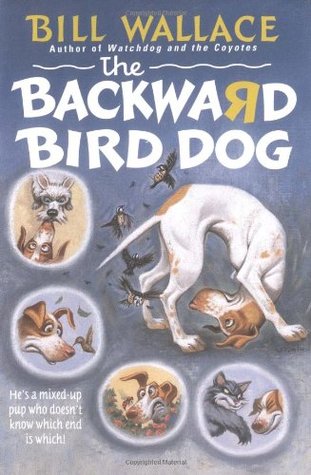 the-backward-bird-dog