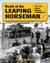 Death of the Leaping Horseman The 24th Panzer Division in Stalingrad by Jason D Marks